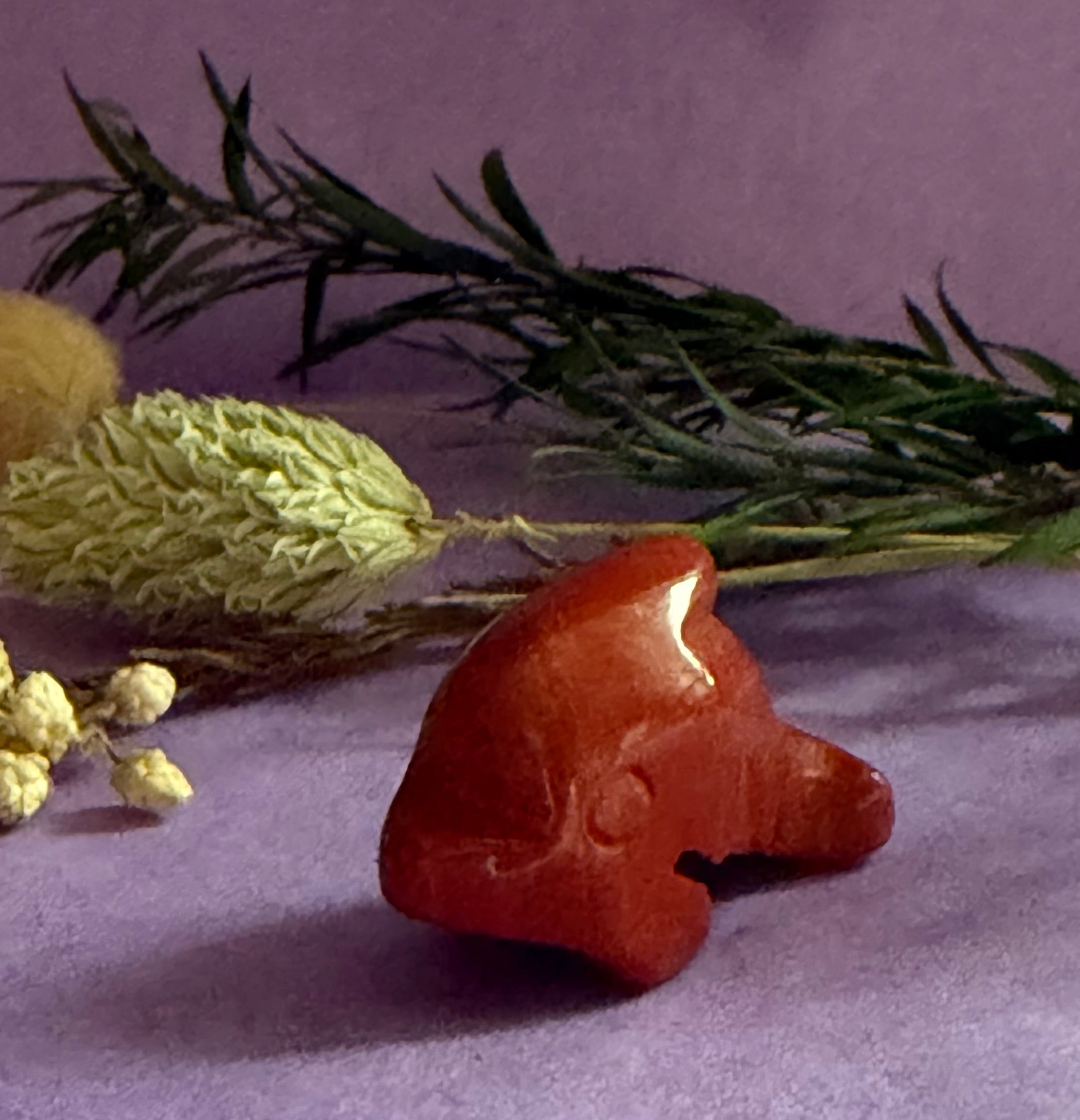 Red Jasper crystal dolphin carving angled view on lilac background with dried botanicals — The Crooked Moon