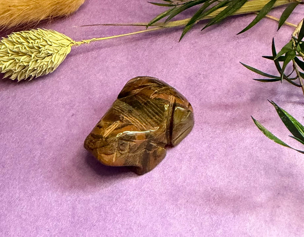 Tiger's Eye crystal frog carving on lilac background with dried botanicals — The Crooked Moon