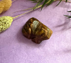 Tiger's Eye crystal frog carving front view on lilac background with botanicals — The Crooked Moon