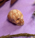 Crystal skull carving close-up on purple background — The Crooked Moon