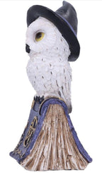 Witch's Familiar Owl Figurine on Spell Book