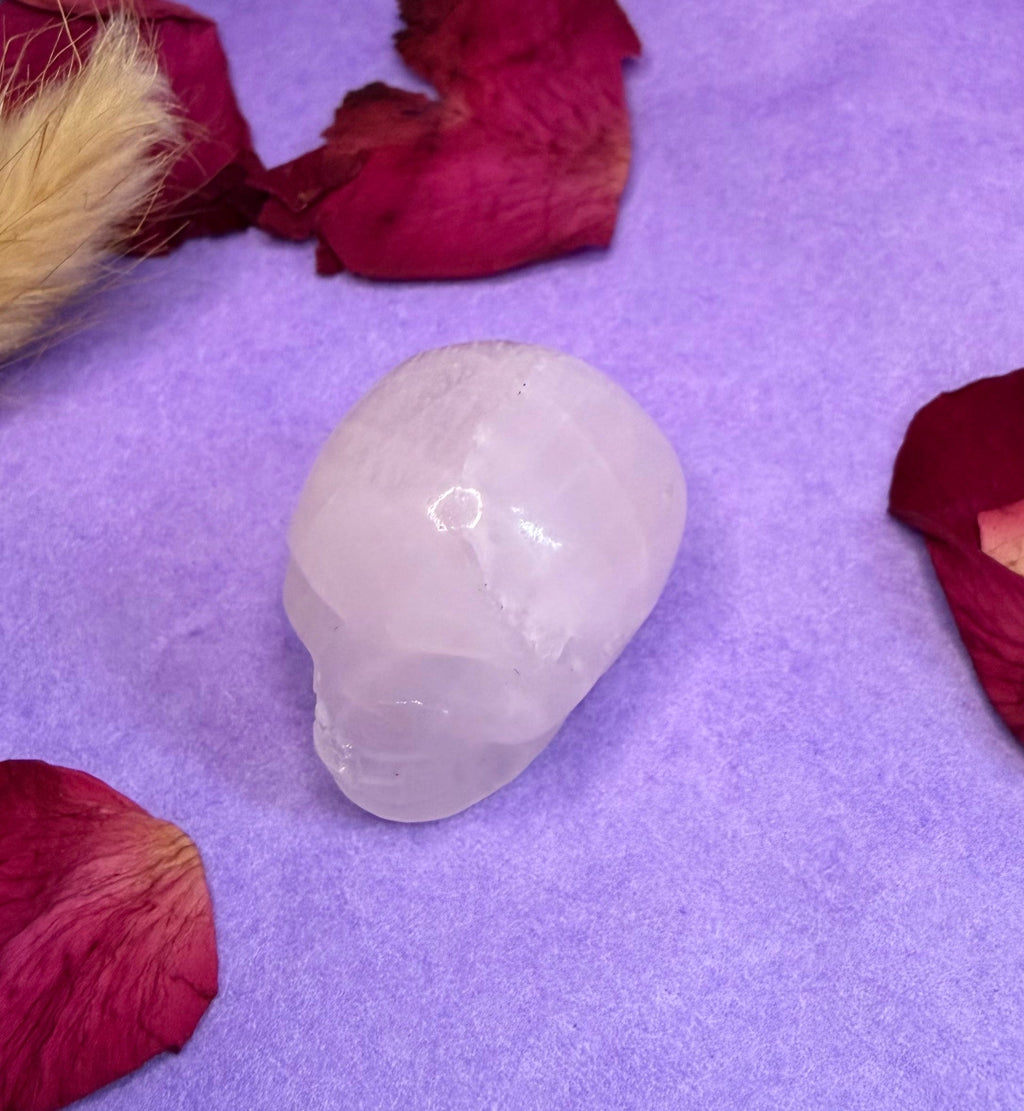 Crazy Lace Agate crystal skull carving angled view on purple background — The Crooked Moon