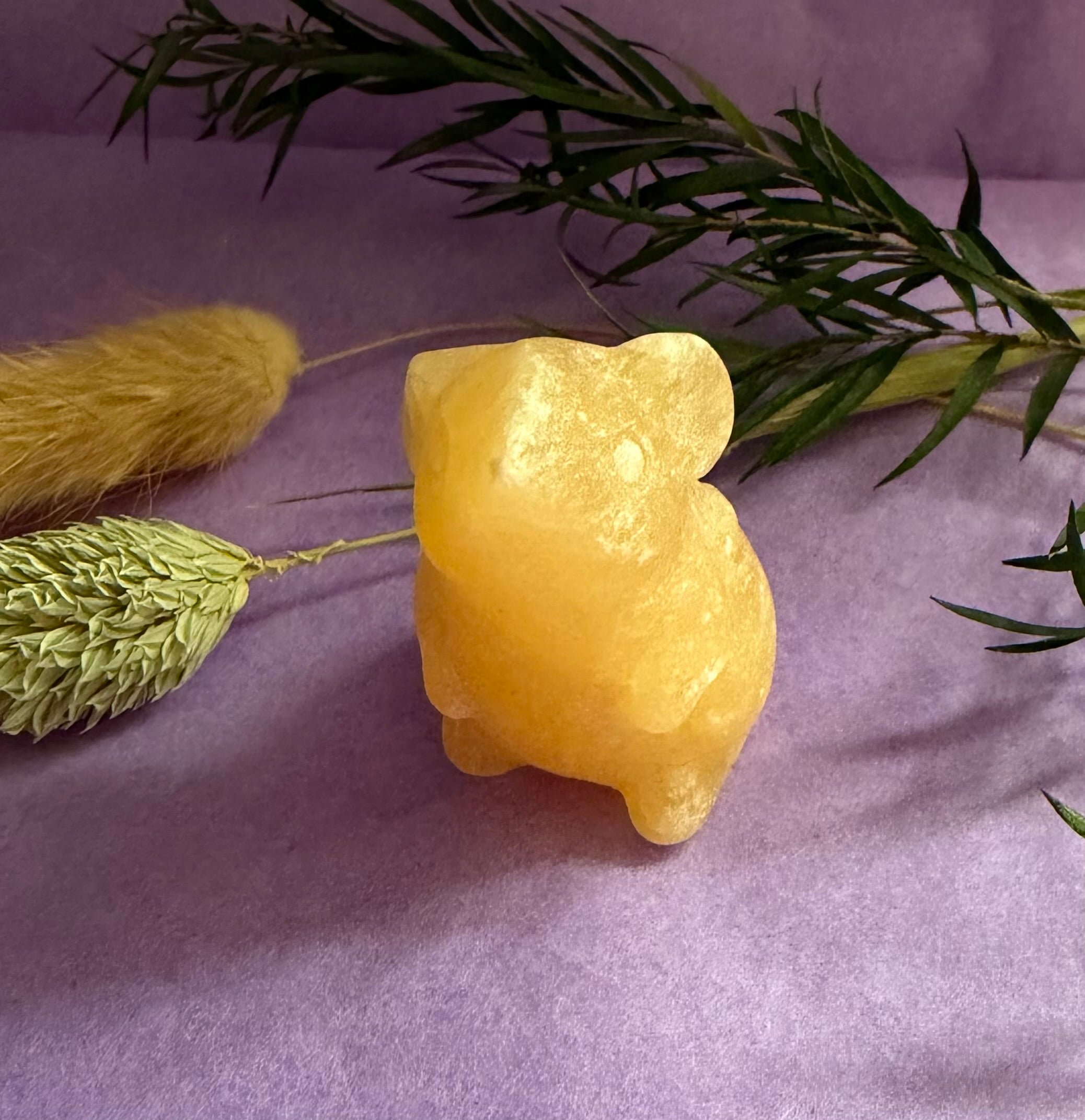 Orange Calcite crystal mouse carving back view on purple background with dried botanicals — The Crooked Moon