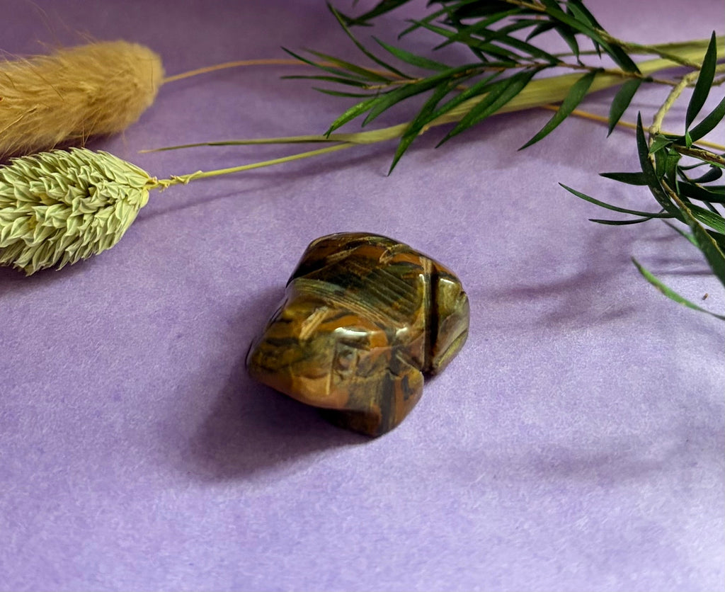 Tiger's Eye crystal frog carving side view on lilac background with green foliage — The Crooked Moon