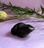 Black Obsidian crystal frog carving side view on lilac background with dried botanicals — The Crooked Moon