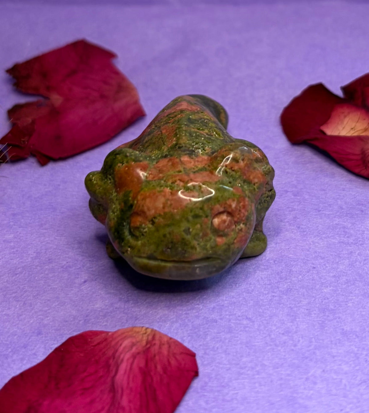 Unakite crystal frog carving front view on purple background with rose petals — The Crooked Moon