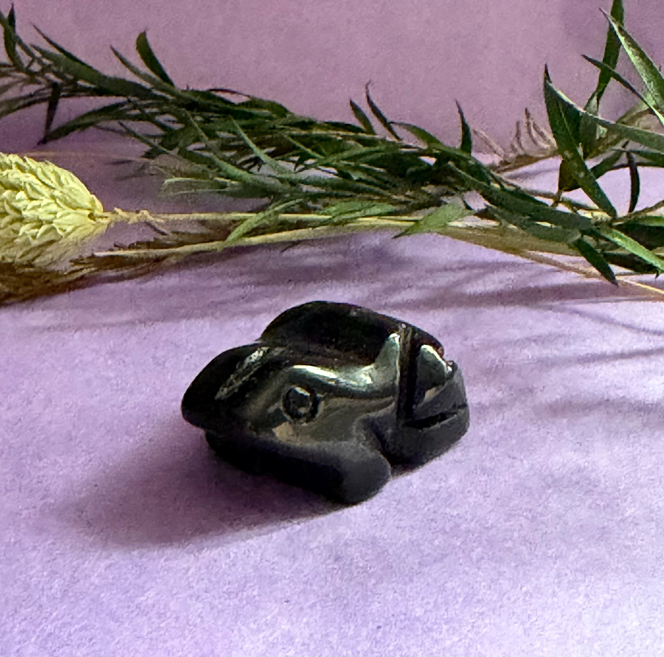 Black Obsidian crystal frog carving on lilac background with green foliage — The Crooked Moon