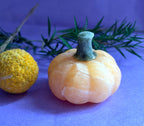 Orange Calcite crystal pumpkin carving side view on lilac background with botanicals — The Crooked Moon