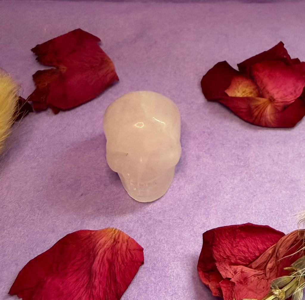 Crazy Lace Agate crystal skull carving back view on purple background — The Crooked Moon