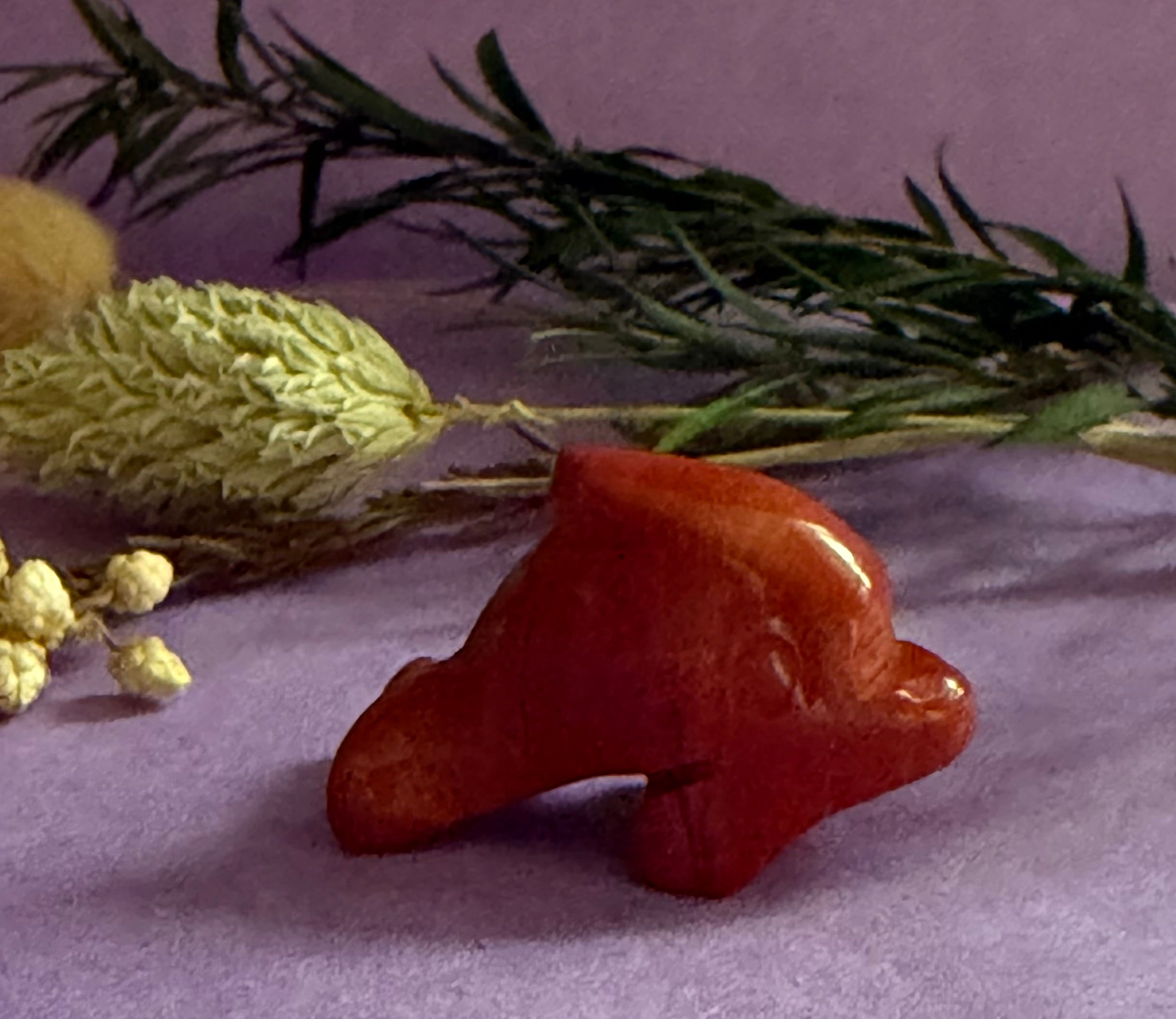 Red Jasper crystal dolphin carving on lilac background with dried botanicals — The Crooked Moon