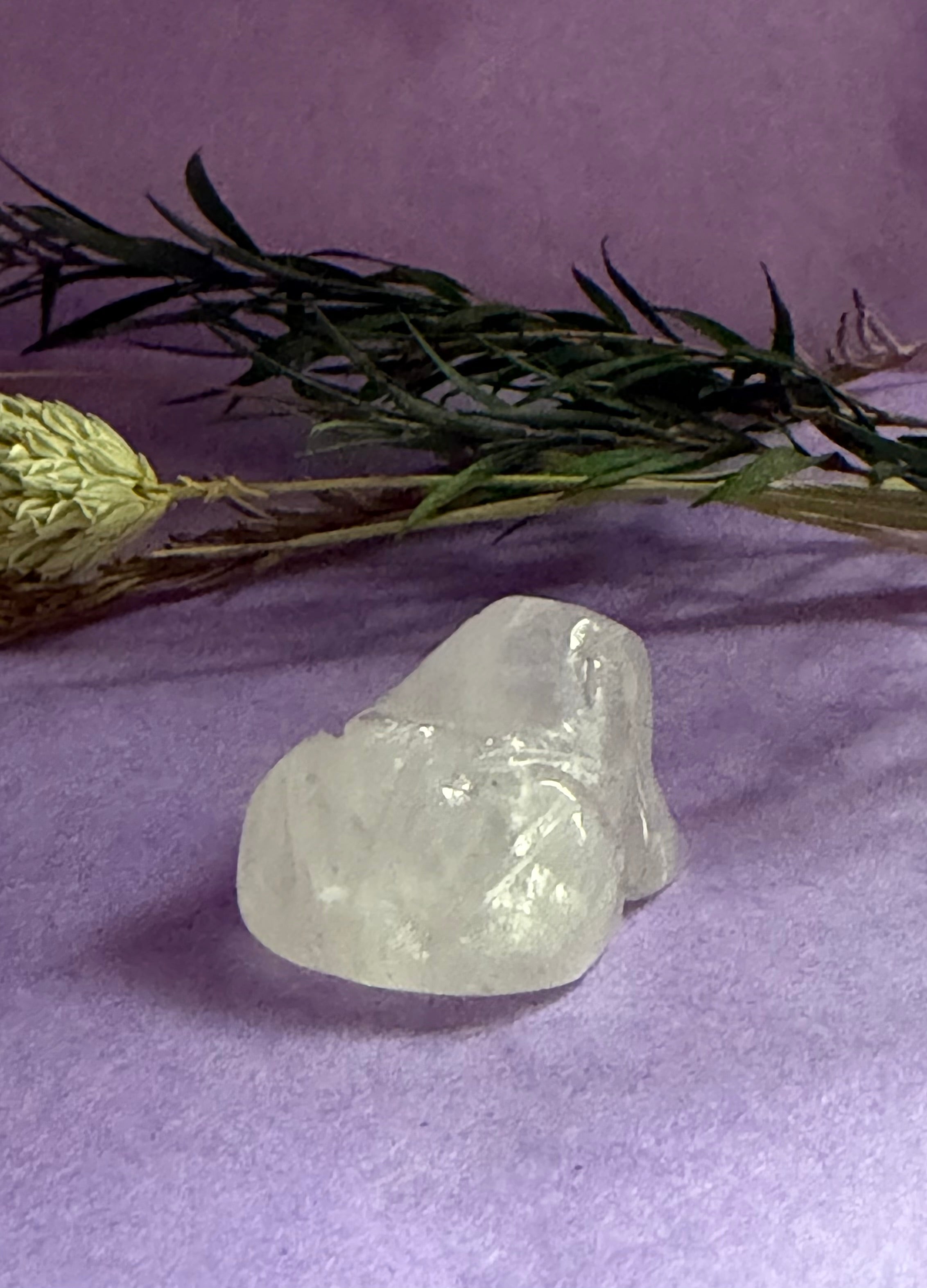 Clear Quartz crystal frog carving front view on lilac background with dried foliage — The Crooked Moon