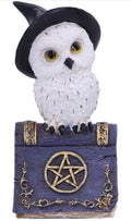 Witch's Familiar Owl Figurine on Spell Book