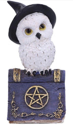 Witch's Familiar Owl Figurine on Spell Book
