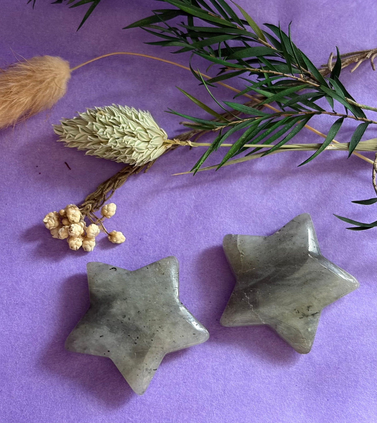 Two Labradorite crystal stars on lilac background with dried botanicals — The Crooked Moon