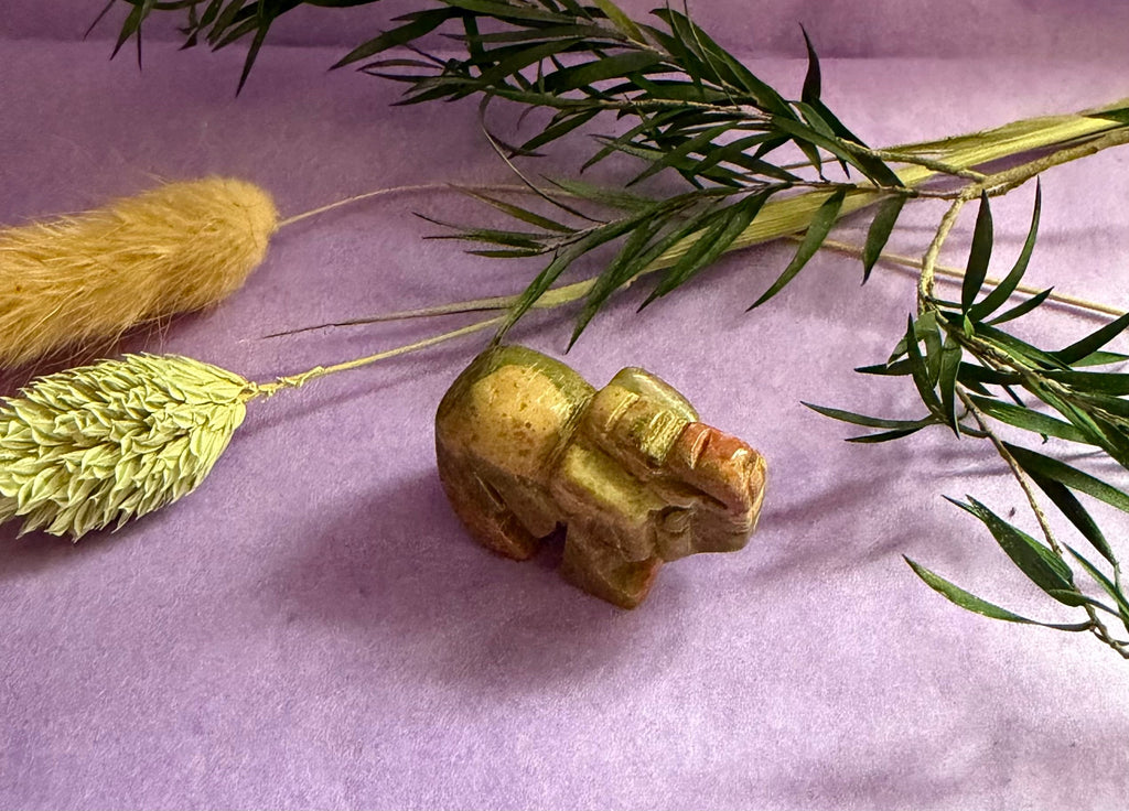Unakite crystal elephant carving top view on purple background with dried botanicals — The Crooked Moon
