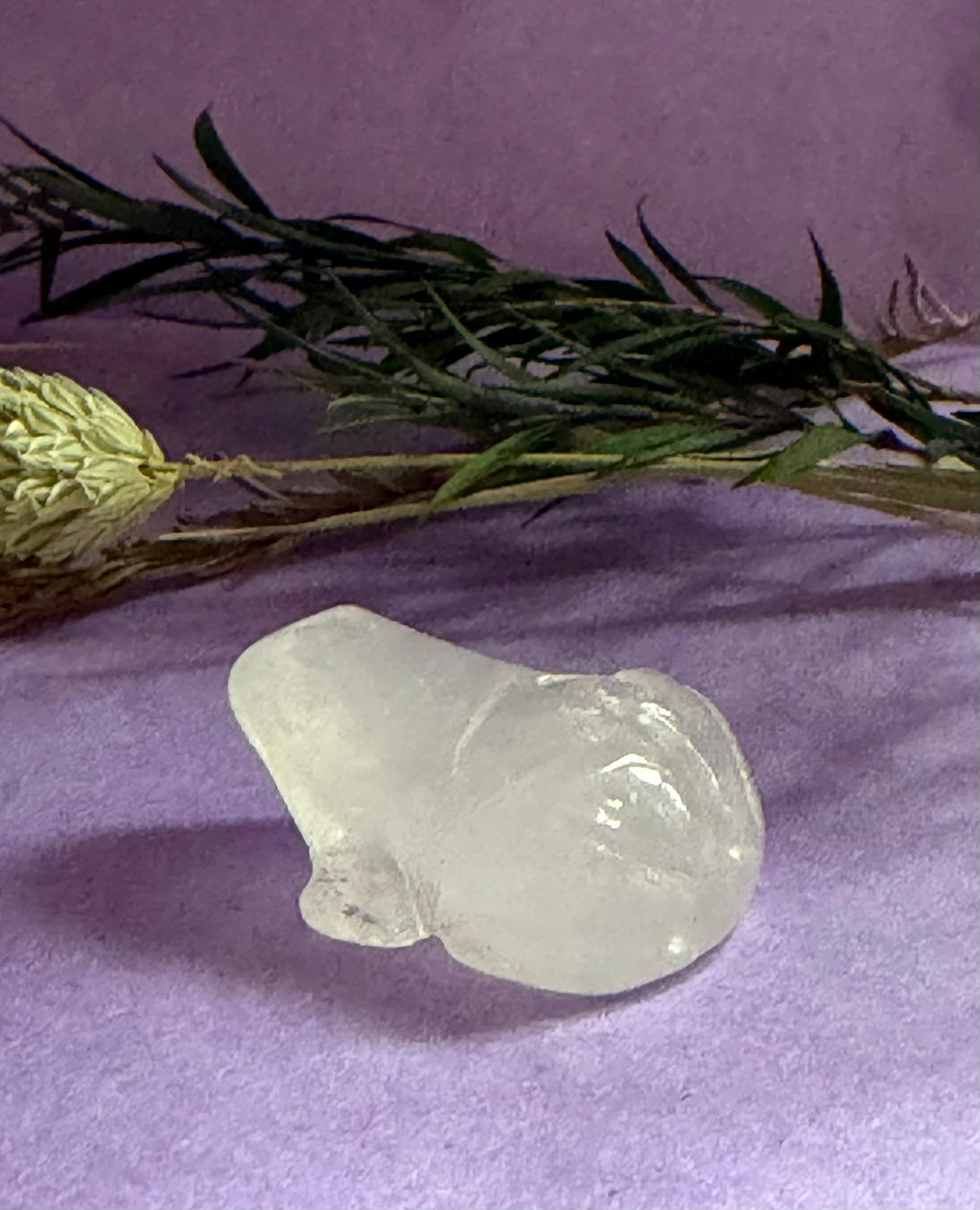 Clear Quartz crystal frog carving angled view on lilac background with green leaves — The Crooked Moon