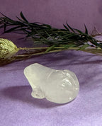 Clear Quartz crystal frog carving angled view on lilac background with green leaves — The Crooked Moon
