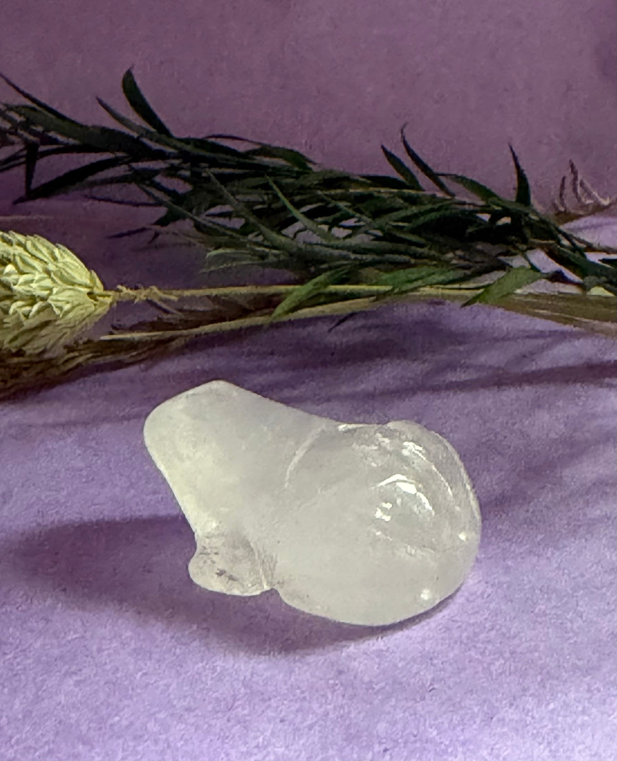 Clear Quartz crystal frog carving angled view on lilac background with green leaves — The Crooked Moon