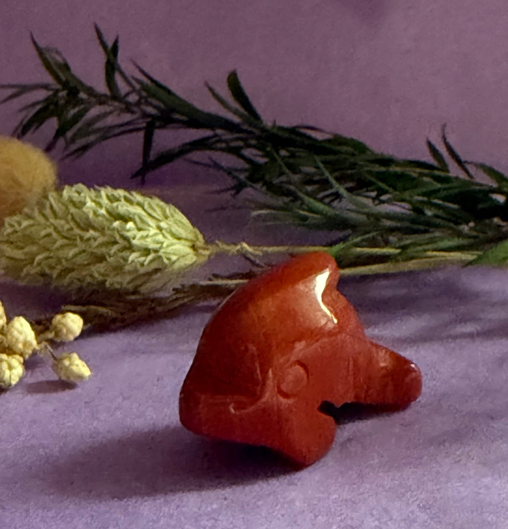 Red Jasper crystal dolphin carving front view on lilac background with dried botanicals — The Crooked Moon
