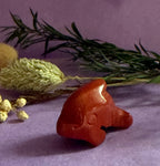 Red Jasper crystal dolphin carving front view on lilac background with dried botanicals — The Crooked Moon