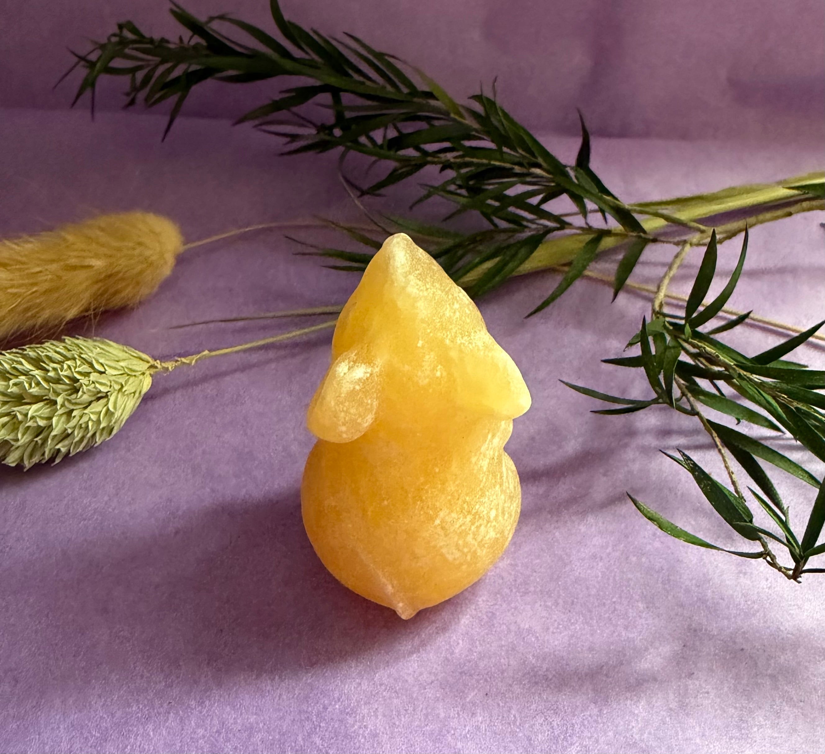 Orange Calcite crystal mouse carving side view on purple background with dried botanicals — The Crooked Moon