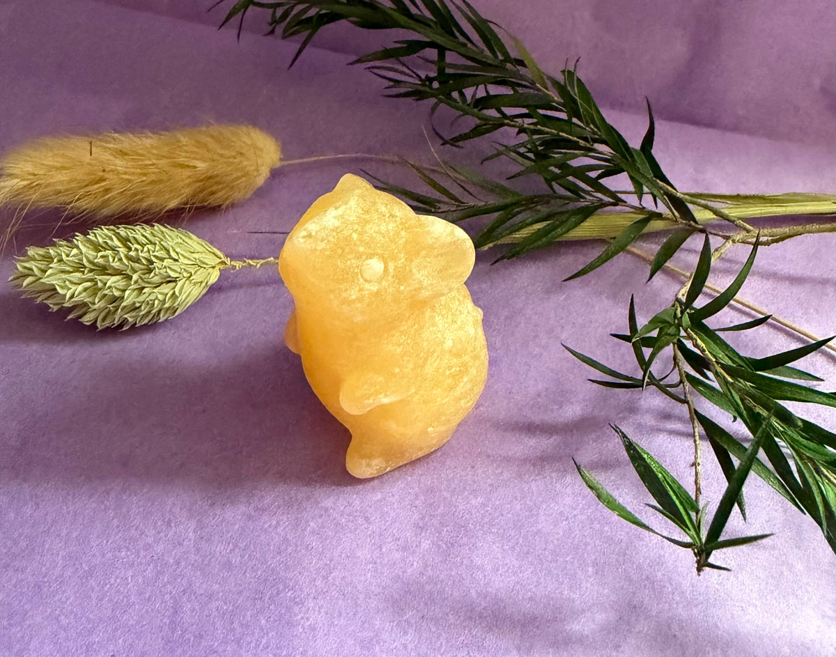 Orange Calcite crystal mouse carving front view on purple background with dried botanicals — The Crooked Moon