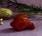 Red Jasper crystal dolphin carving side view on lilac background with dried botanicals — The Crooked Moon