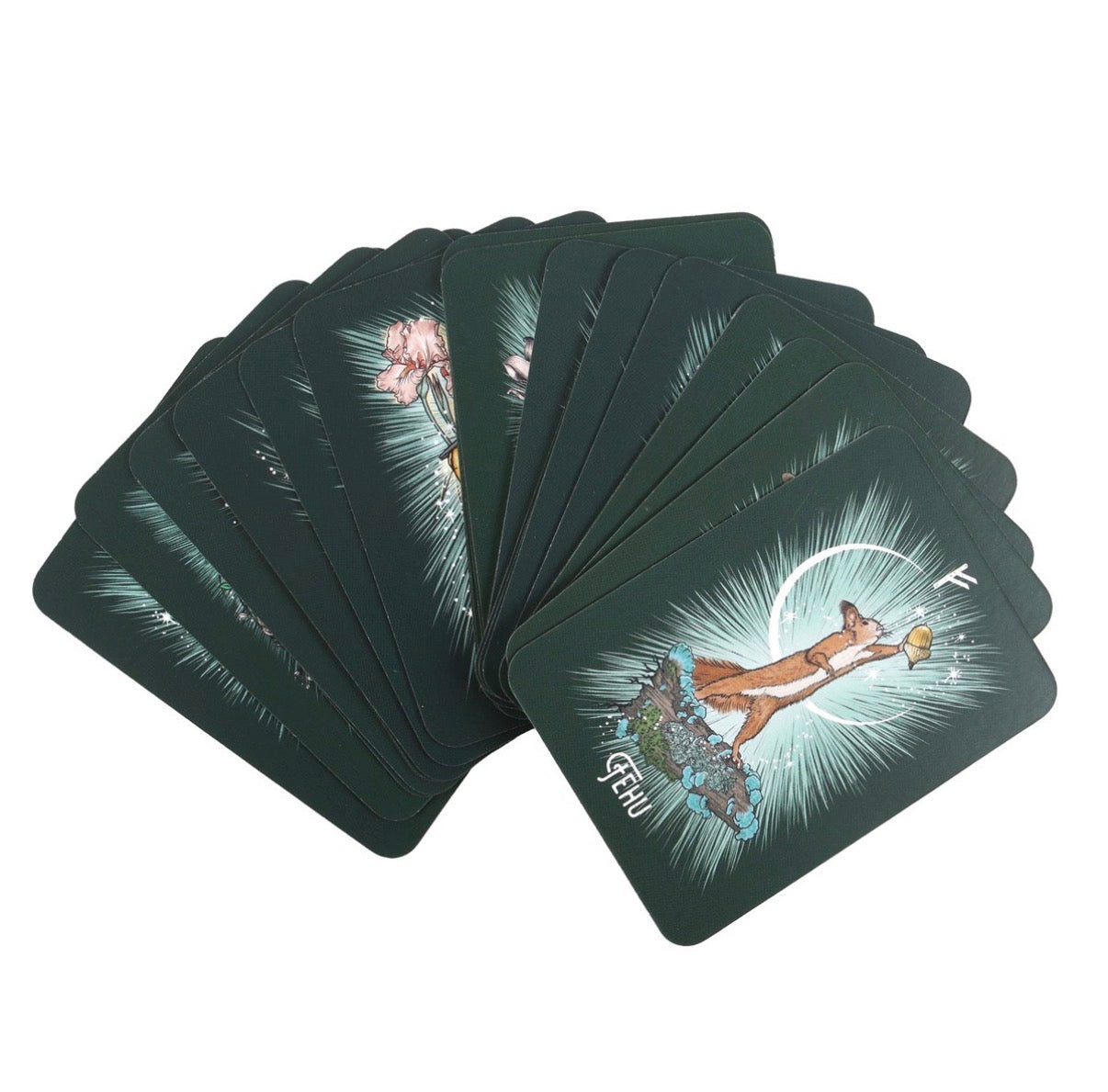The Witch's Familiar Runic Oracle – 24-Card Deck & Guidebook