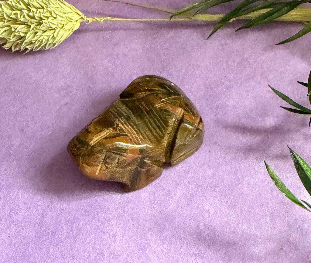 Tiger's Eye crystal frog carving angled view on lilac background with dried grass — The Crooked Moon
