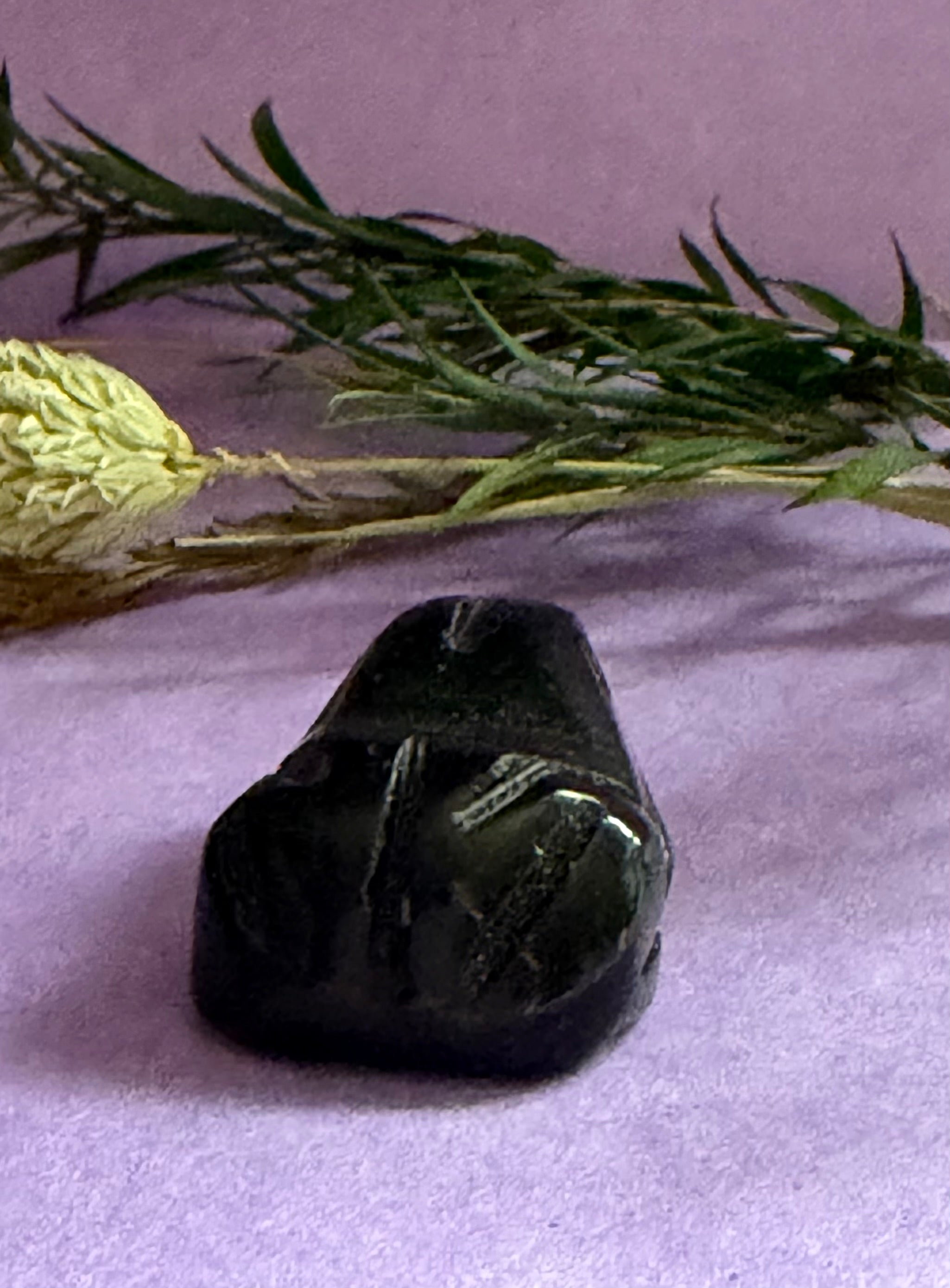 Black Obsidian crystal frog carving back view on lilac background with green leaves — The Crooked Moon