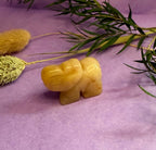 Yellow Aventurine crystal elephant carving three-quarter view on purple background with dried botanicals — The Crooked Moon