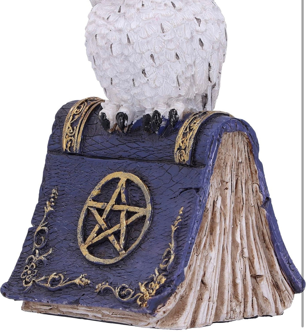 Witch's Familiar Owl Figurine on Spell Book