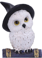 Witch's Familiar Owl Figurine on Spell Book