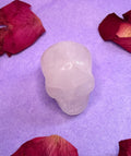 Crystal skull carving on purple background with dried botanicals — The Crooked Moon