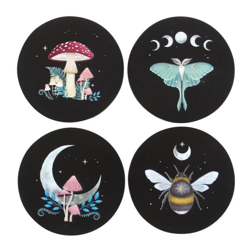 Dark Forest Coaster Set - white background showing all four designs
