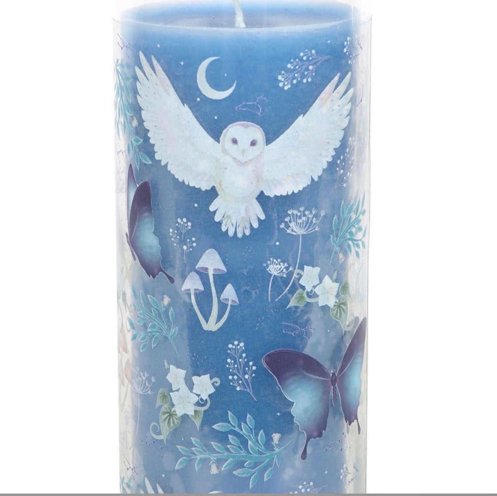 Night Owl Lavender Scented Candle - close up of owl and butterfly design