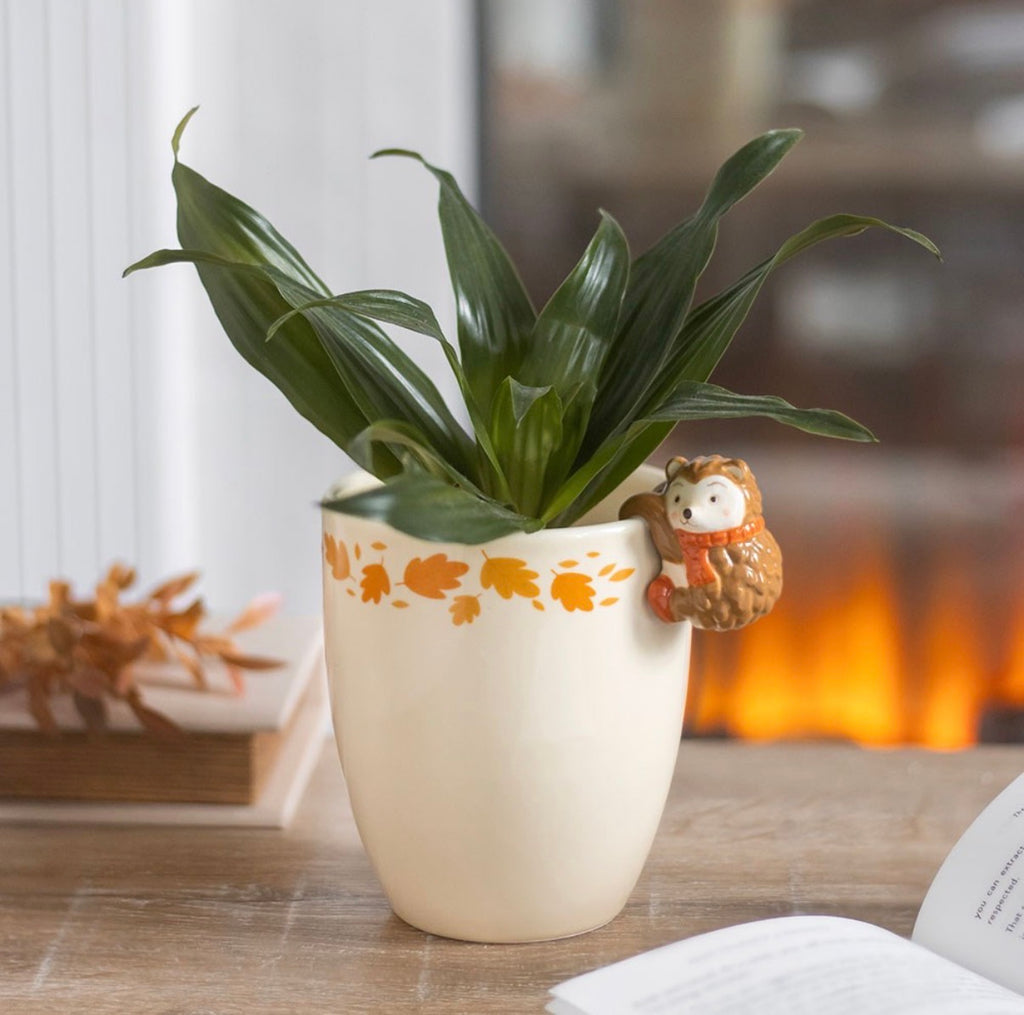 Hedgehog autumn leaves ceramic plant pot with green plant in lifestyle setting beside fireplace