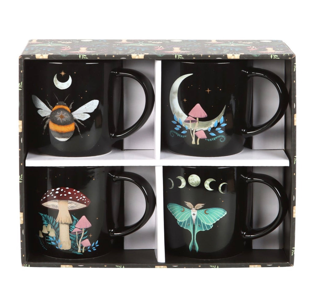 Dark Forest Set of Four mugs presented in open gift box showing all four black ceramic mugs, white background