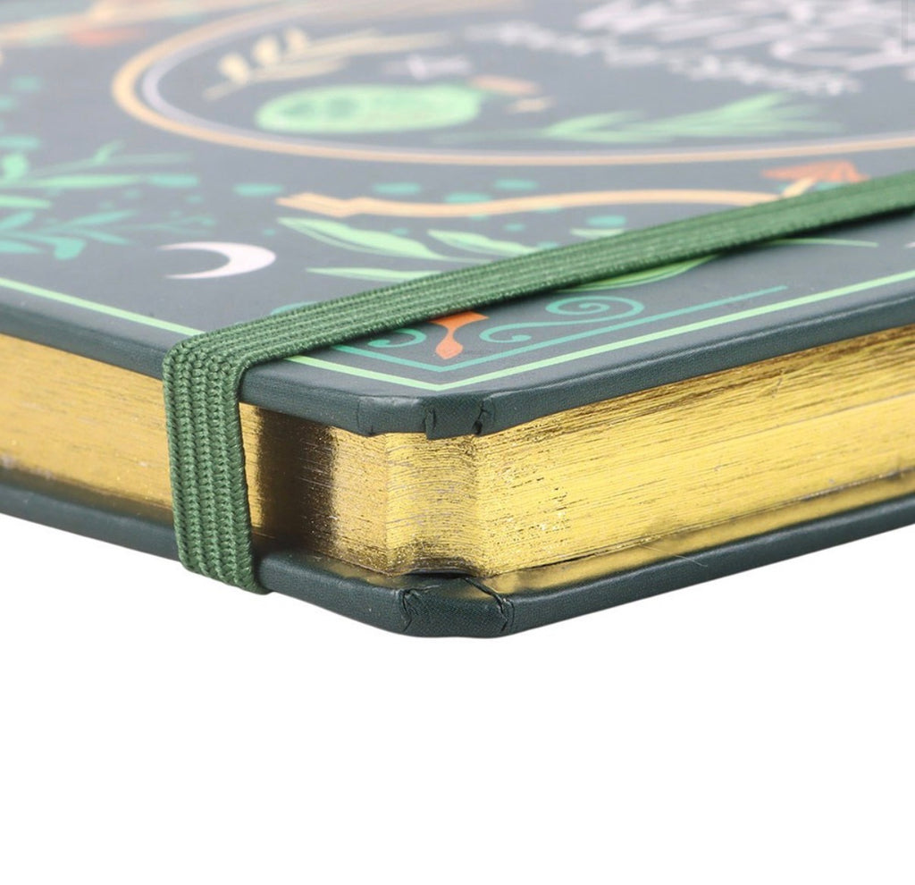 Book of Spells journal showing its green elastic closure strap and ribbon page marker