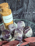 A small glass bottle with a cork stopper labeled 'Cinnamon' filled with warm brown powder, placed beside five polished purple crystal tumbled stones on a clear glass tray. The scene is styled with dried reddish-brown leaves against a dark textured backdrop.