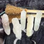 Five carved crystal or stone figurines in pale translucent shades, arranged on a reflective surface with a small dried brush behind them against a dark textured fabric background.