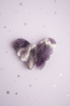 Amethyst Butterfly - top down, pale purple stars