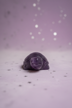 Amethyst Turtle - image 4, pale purple stars