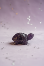 Amethyst Turtle - image 5, pale purple stars