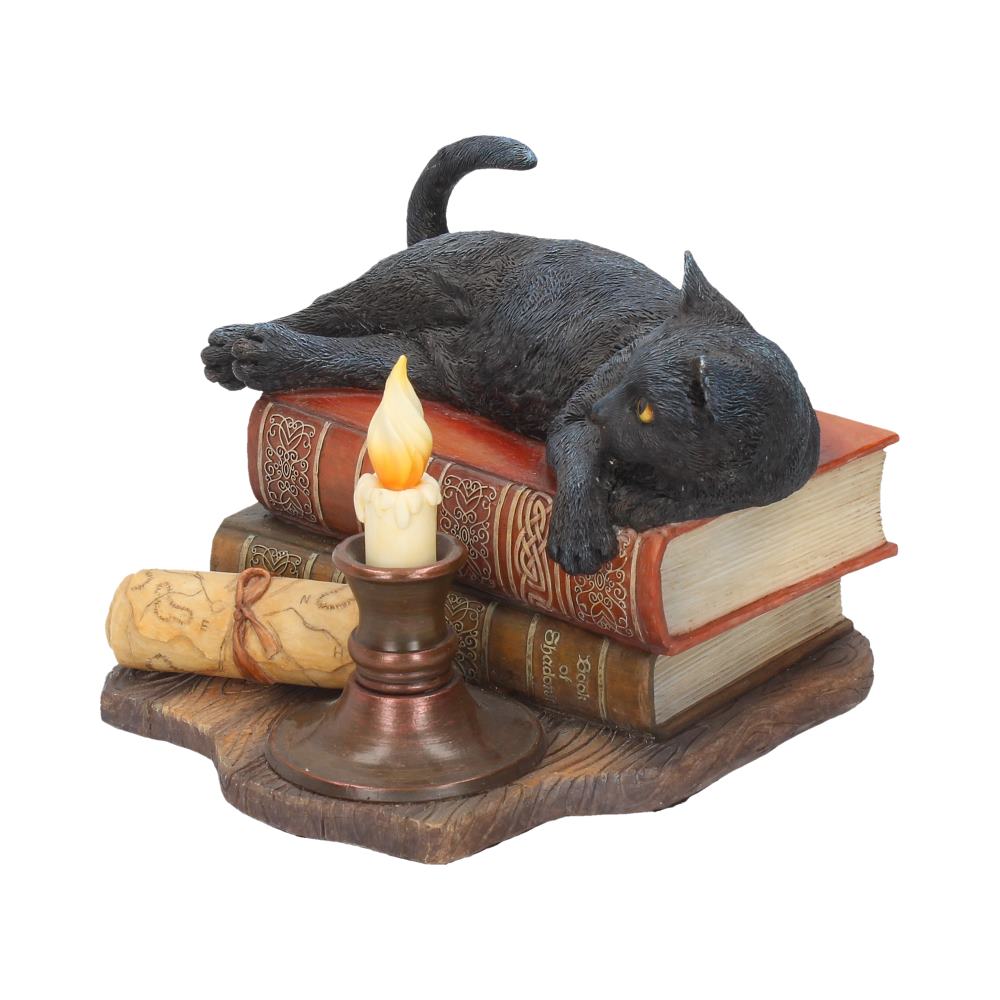 Lisa Parker Spirit Guide black cat figurine – top view on spell books