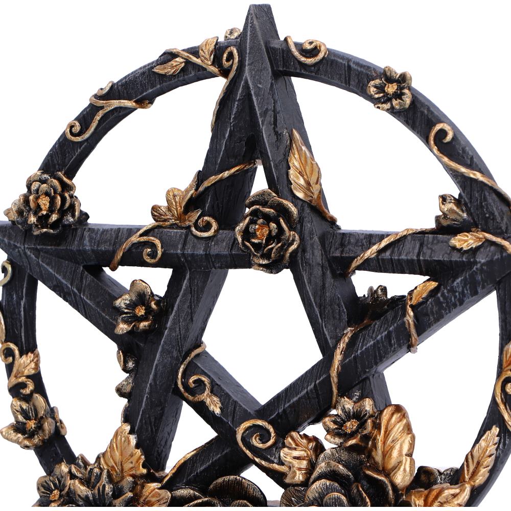 Floral pentagram sculpture - product box
