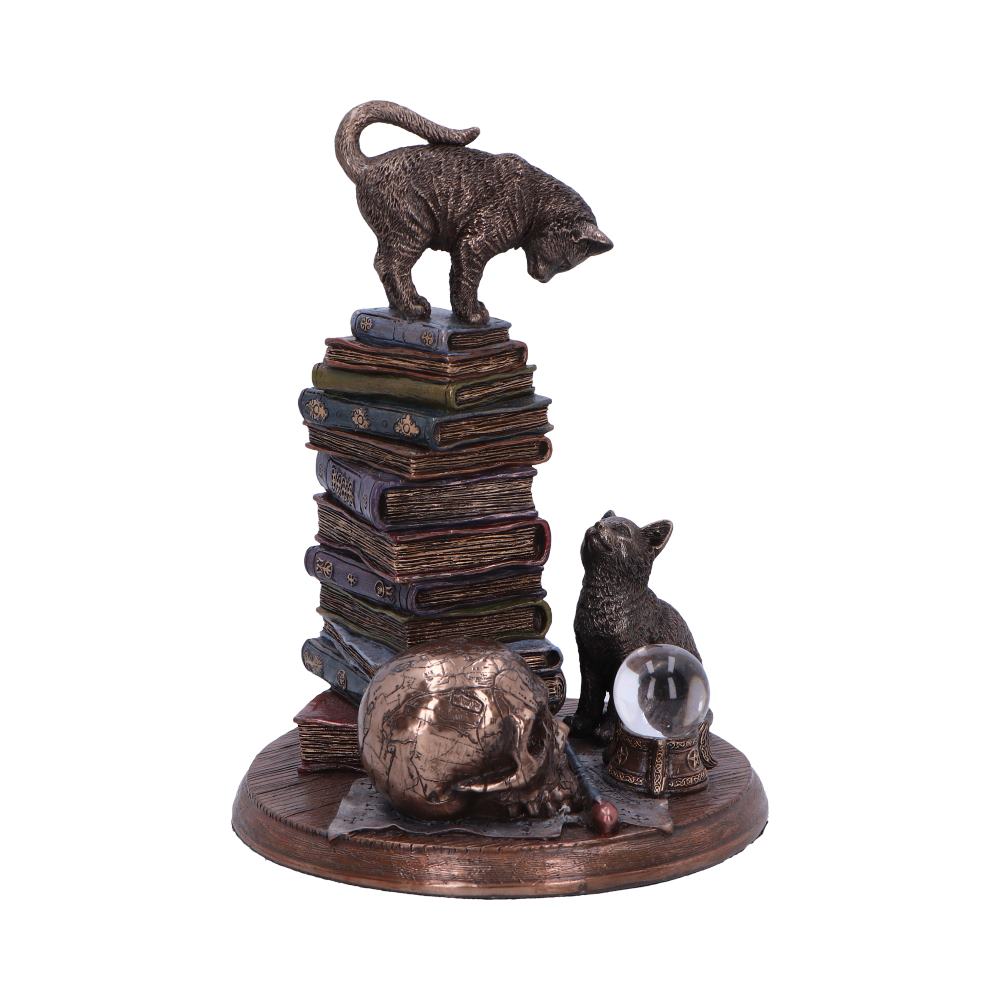 Witch's Familiar Cats and Books Figurine - cat on books close up