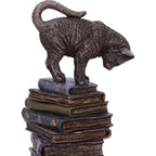 Witch's Familiar Cats and Books Figurine - base detail with skull and crystal ball