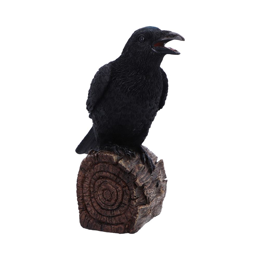 Raven Sound Box Figurine - close up of face and feather detail