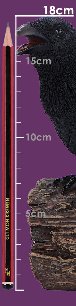 Raven Sound Box Figurine - size guide showing 18cm height